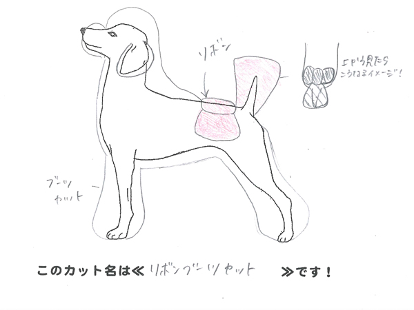 カットのデザインを考えました！